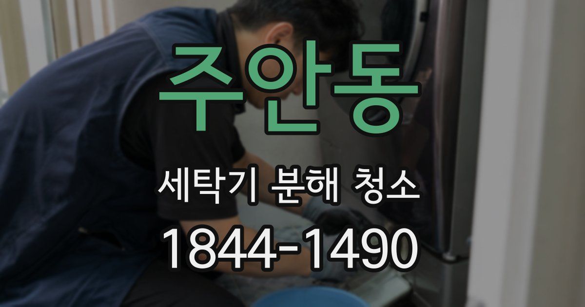 주안동 세탁기 분해 청소