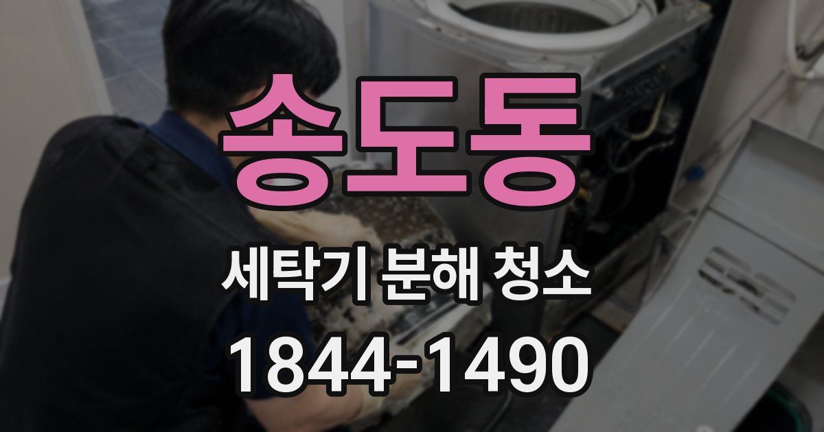 송도동 세탁기 분해 청소