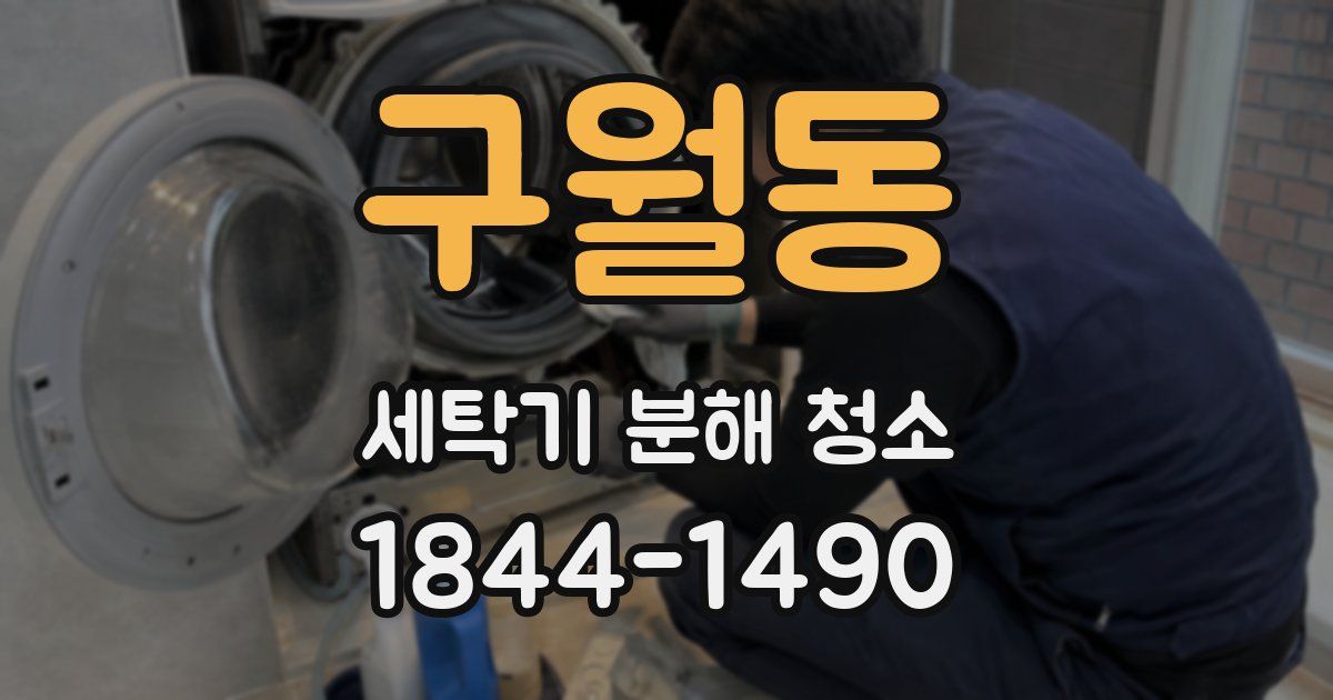 구월동 세탁기 분해 청소
