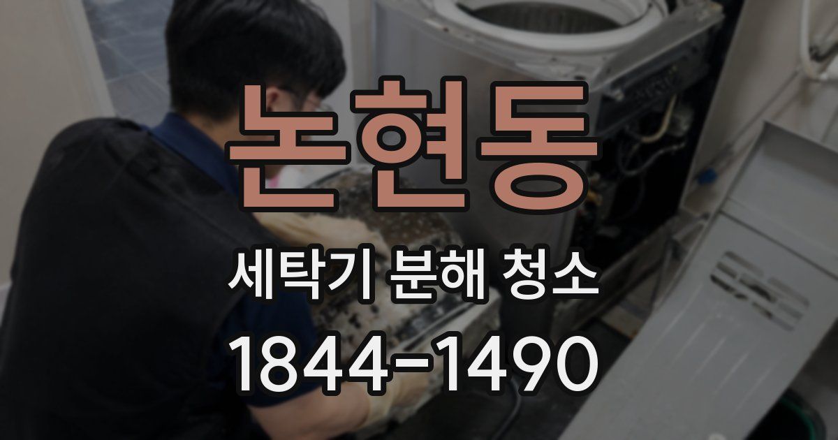 논현동 세탁기 분해 청소