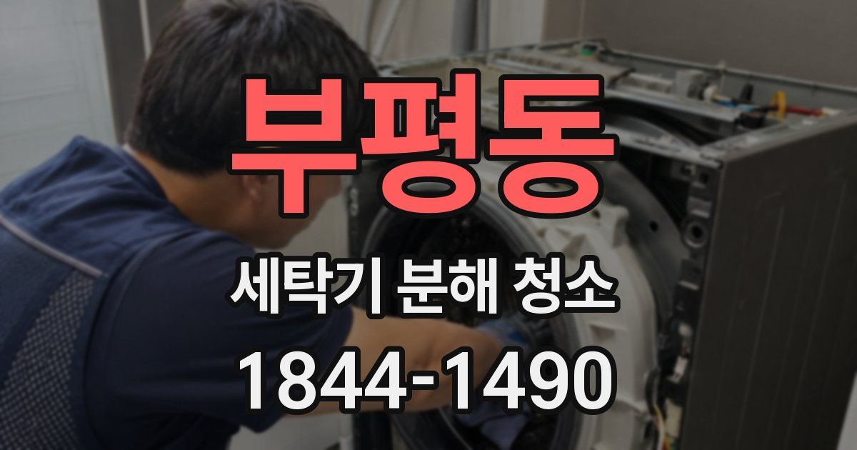부평동 세탁기 분해 청소