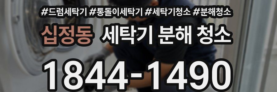 십정동 세탁기 분해 청소