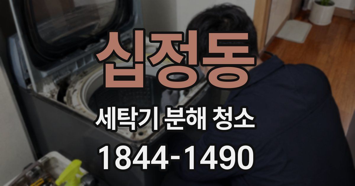 십정동 세탁기 분해 청소