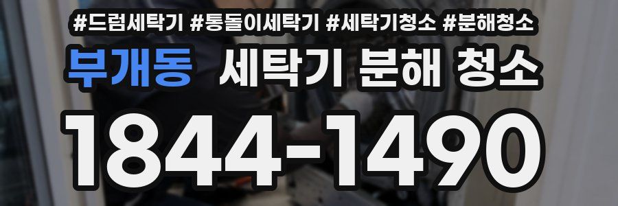 부개동 세탁기 분해 청소