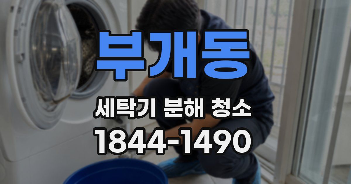 부개동 세탁기 분해 청소