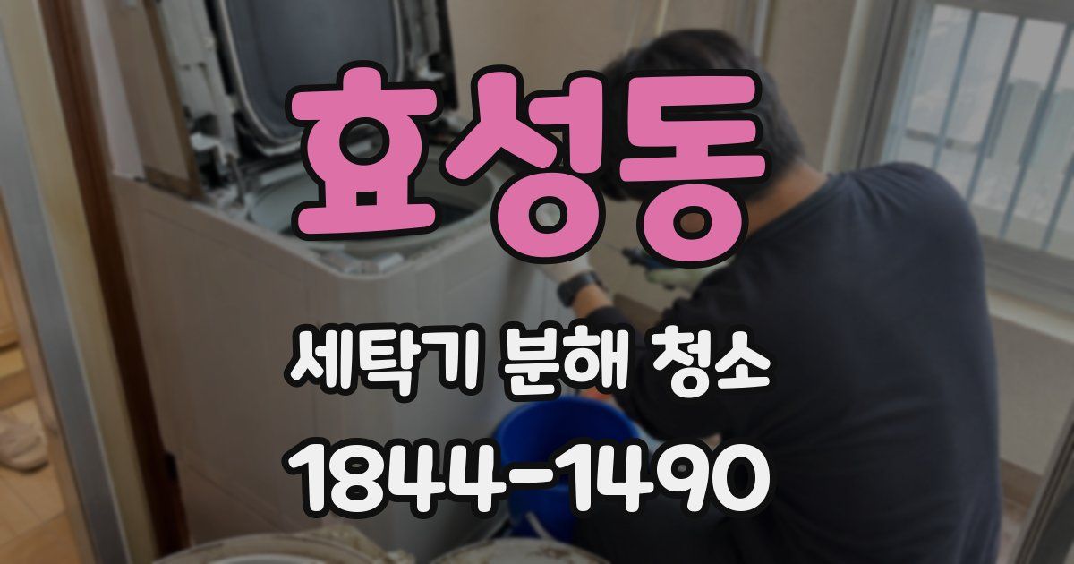 효성동 세탁기 분해 청소
