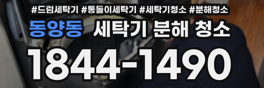 동양동 세탁기 분해 청소