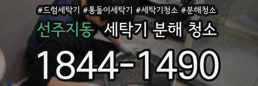 선주지동 세탁기 분해 청소
