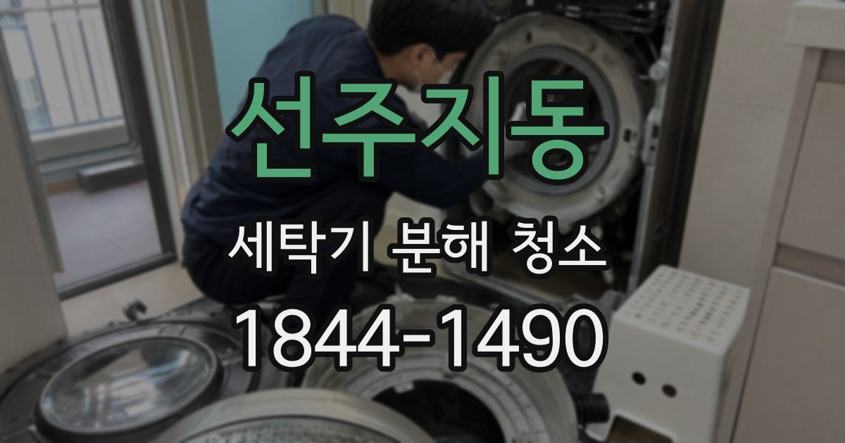 선주지동 세탁기 분해 청소