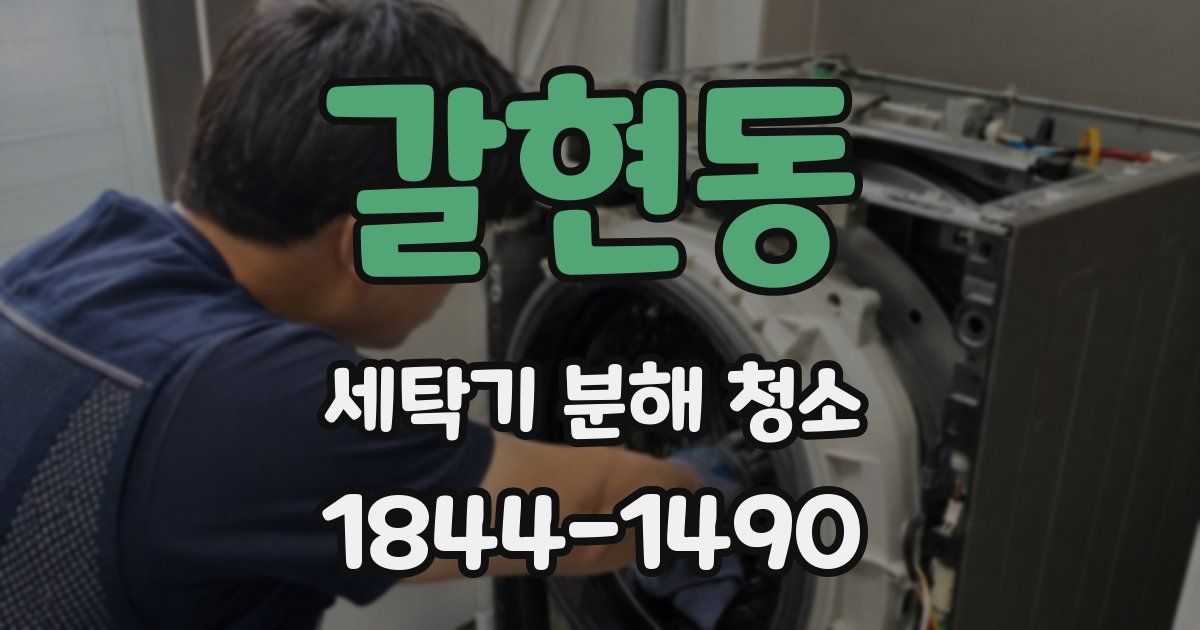 갈현동 세탁기 분해 청소