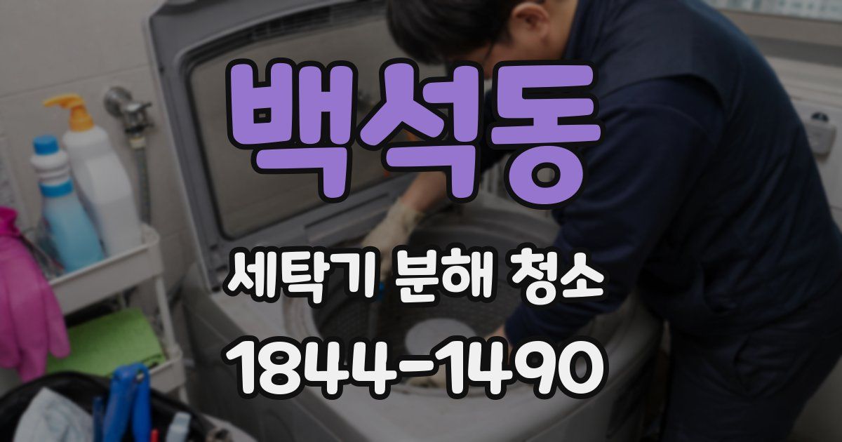 백석동 세탁기 분해 청소