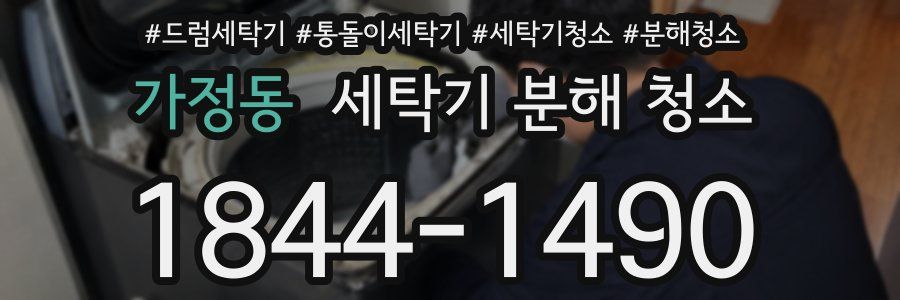 가정동 세탁기 분해 청소