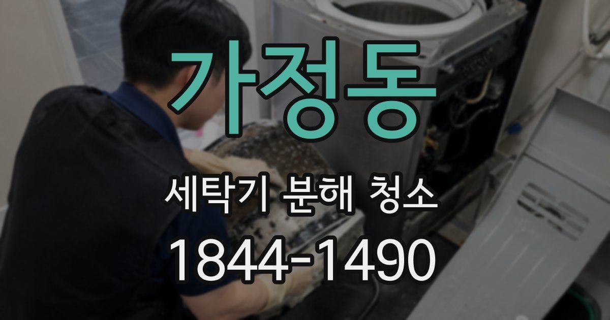 가정동 세탁기 분해 청소