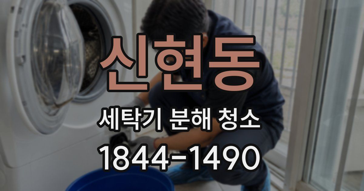 신현동 세탁기 분해 청소