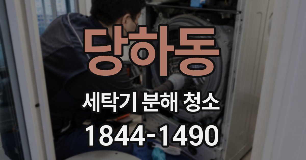 당하동 세탁기 분해 청소