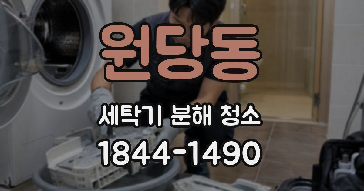 원당동 세탁기 분해 청소