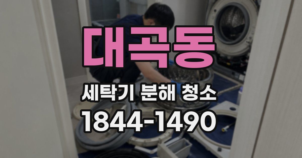 대곡동 세탁기 분해 청소