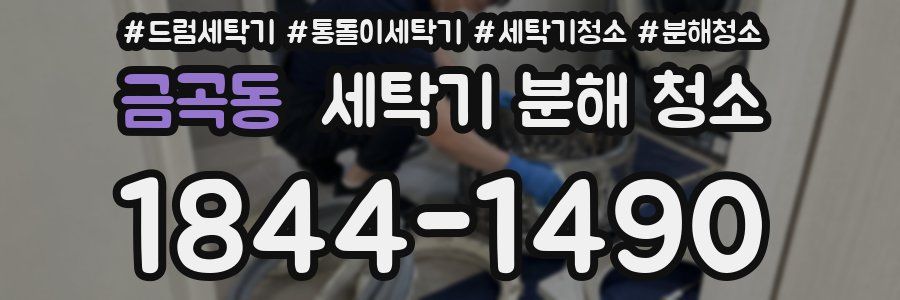 금곡동 세탁기 분해 청소