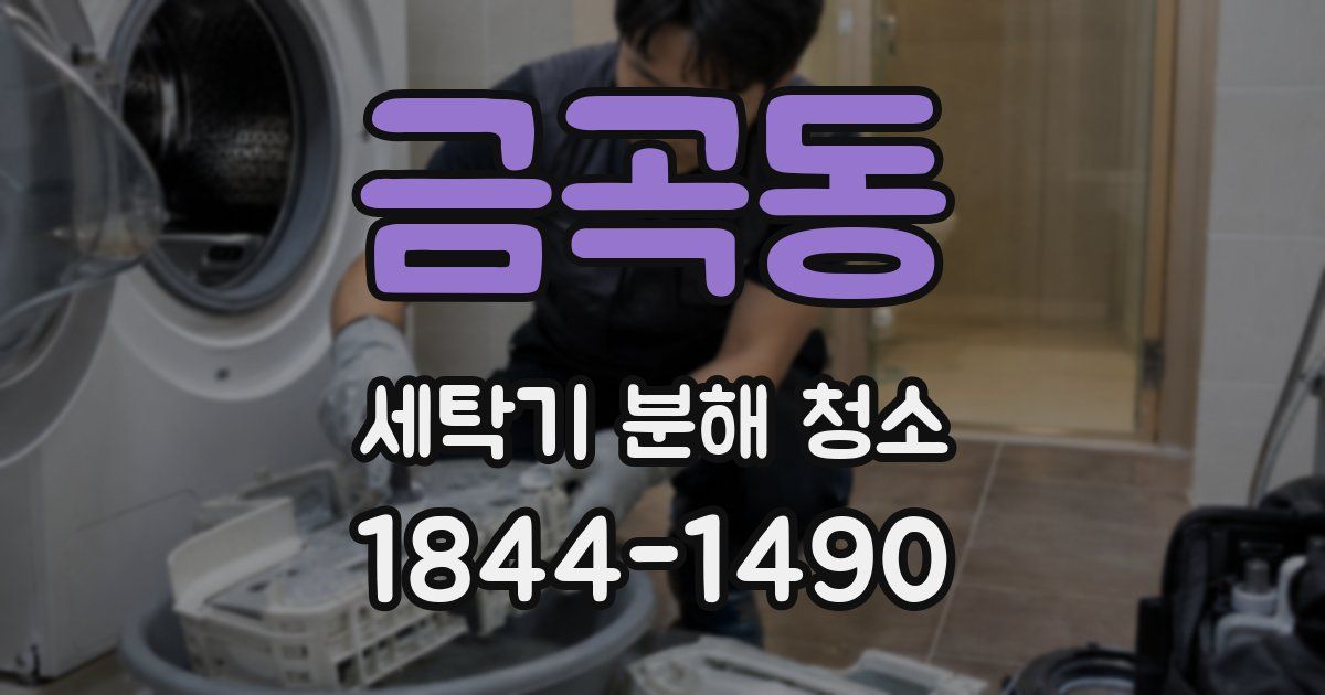 금곡동 세탁기 분해 청소