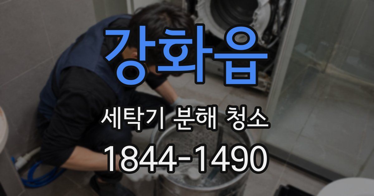 강화읍 세탁기 분해 청소