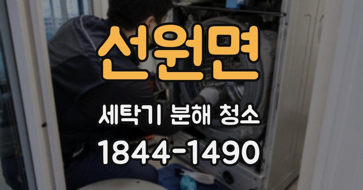 선원면 세탁기 분해 청소