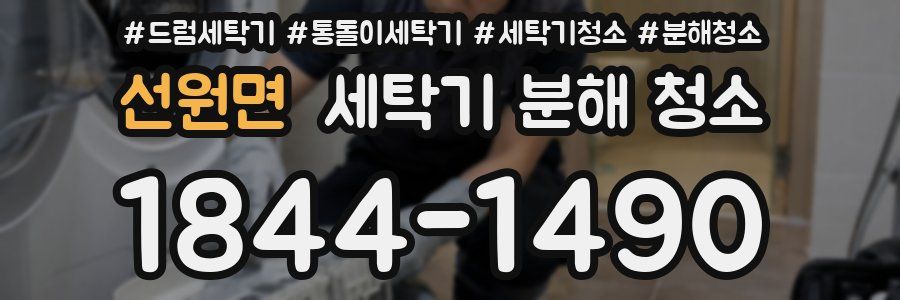선원면 세탁기 분해 청소