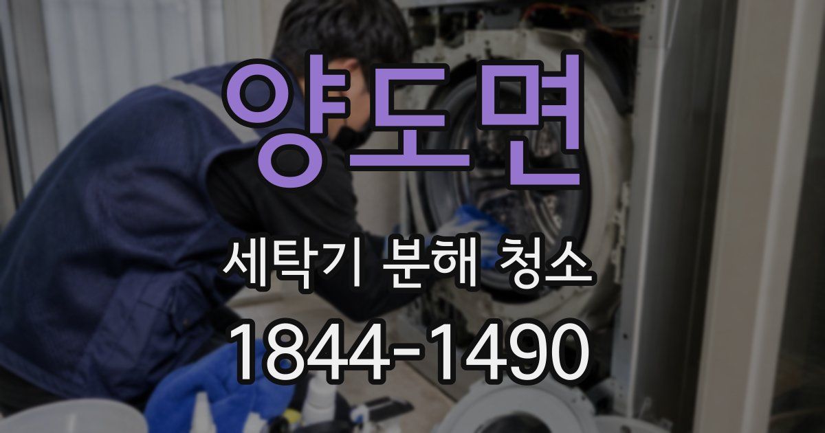 양도면 세탁기 분해 청소
