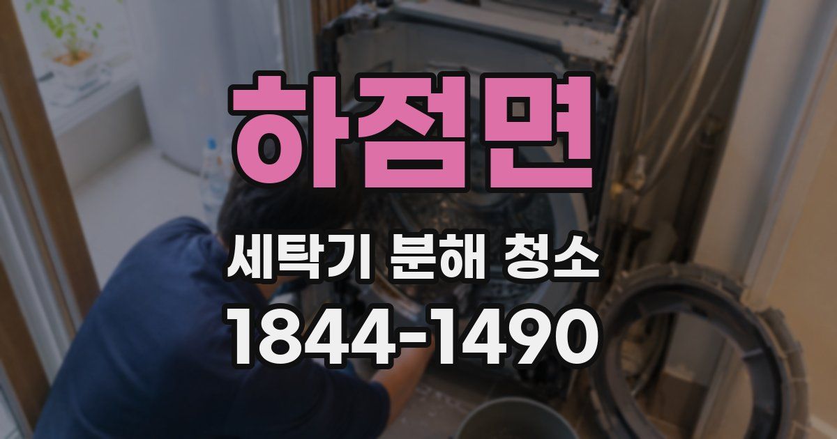 하점면 세탁기 분해 청소