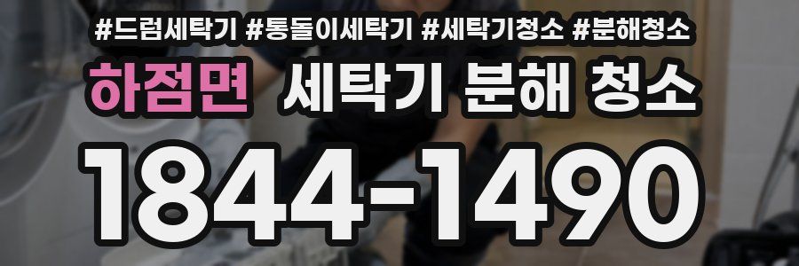 하점면 세탁기 분해 청소