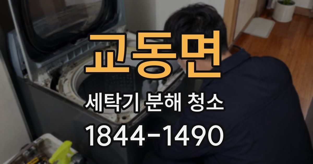 교동면 세탁기 분해 청소
