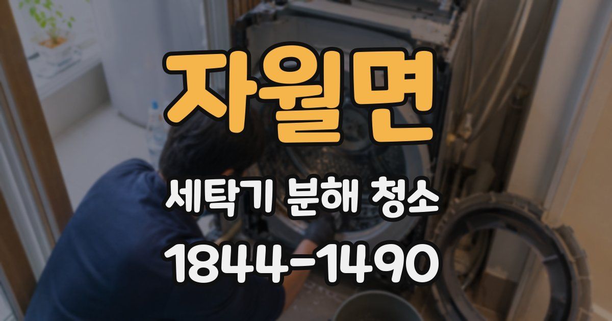 자월면 세탁기 분해 청소