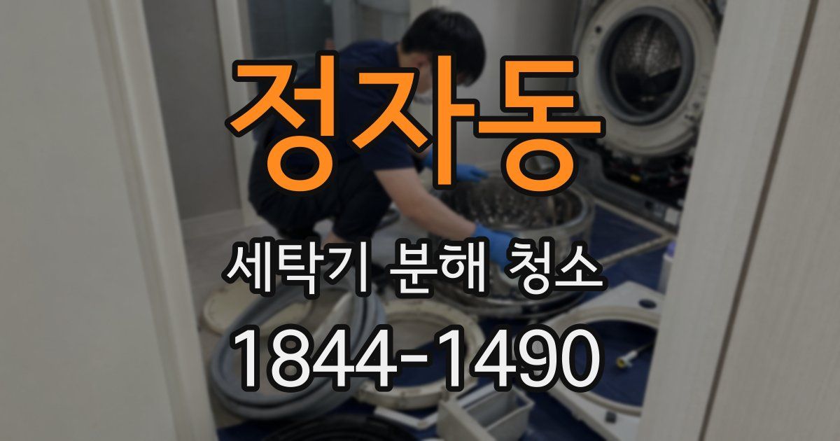 정자동 세탁기 분해 청소