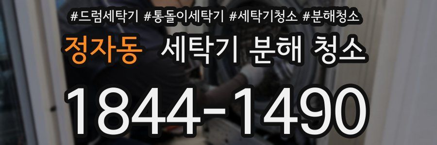 정자동 세탁기 분해 청소