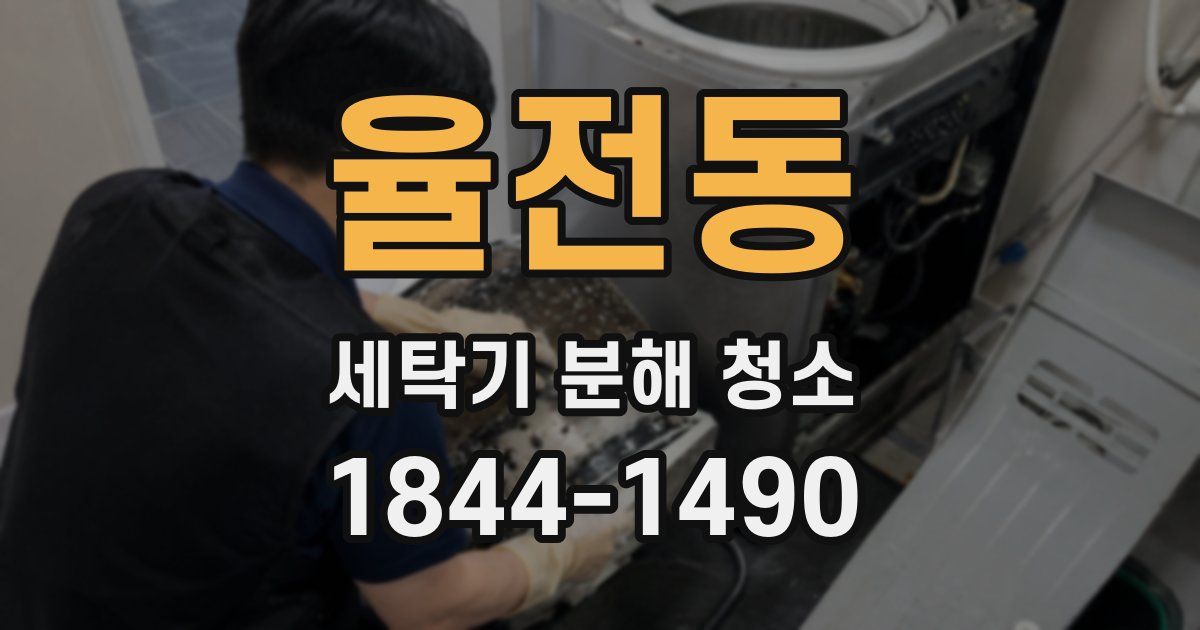 율전동 세탁기 분해 청소