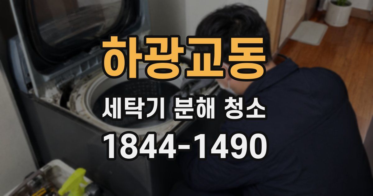 하광교동 세탁기 분해 청소