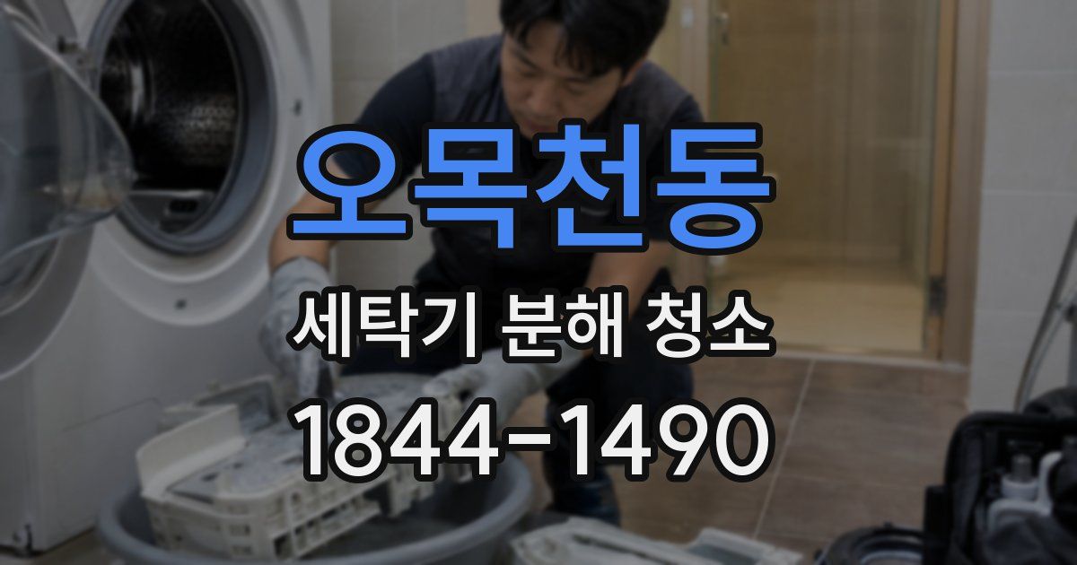 오목천동 세탁기 분해 청소