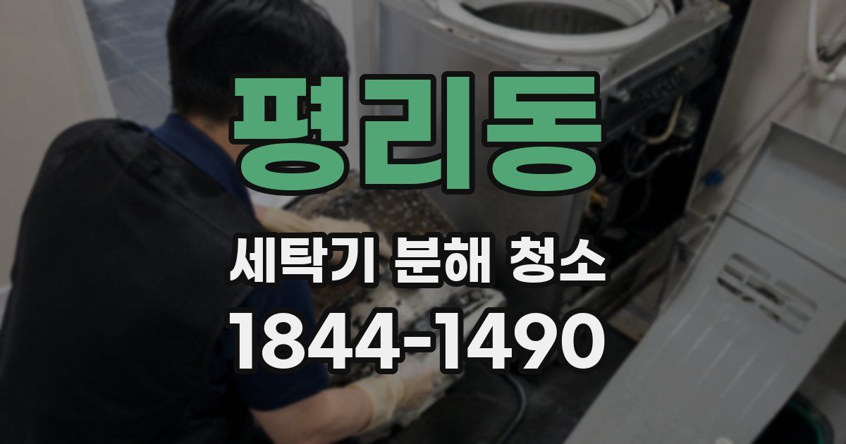 평리동 세탁기 분해 청소
