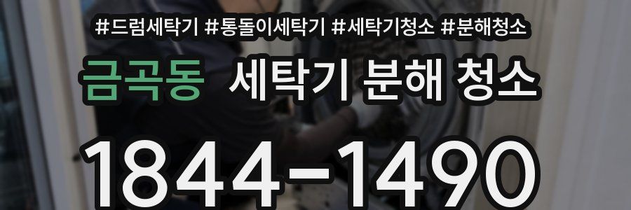 금곡동 세탁기 분해 청소