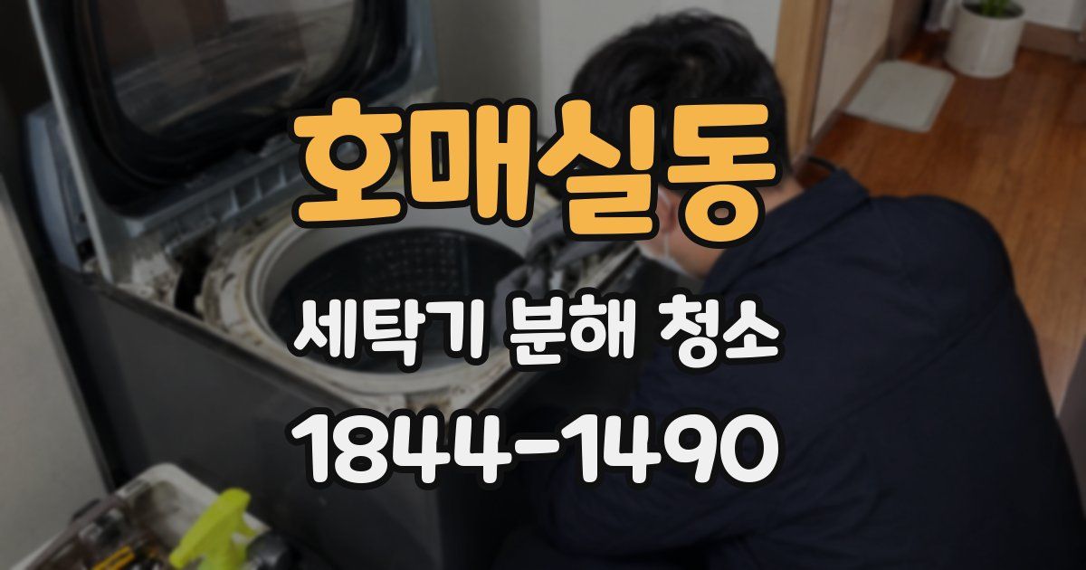 호매실동 세탁기 분해 청소