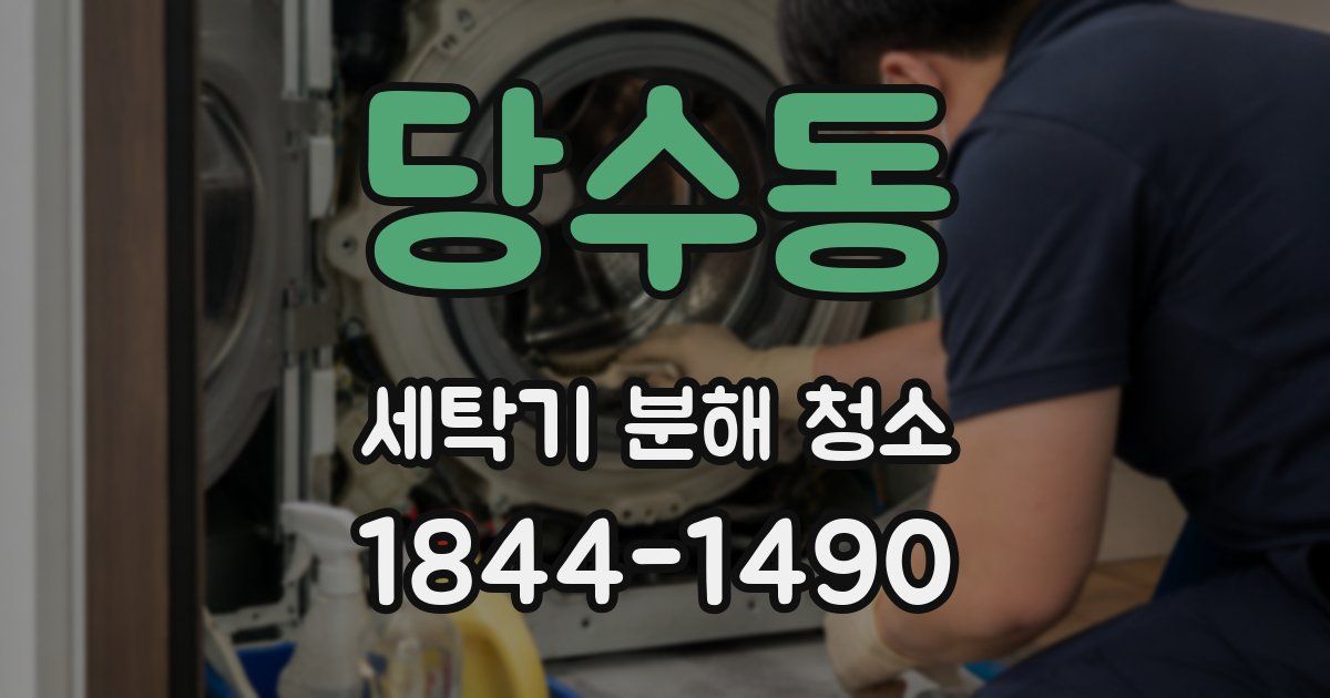 당수동 세탁기 분해 청소