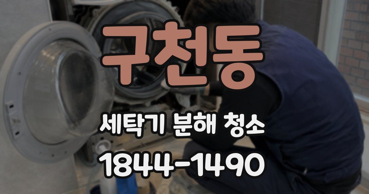 구천동 세탁기 분해 청소