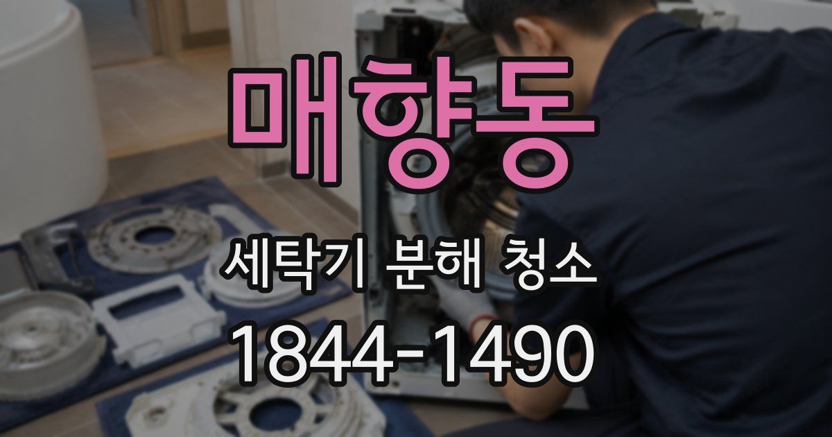 매향동 세탁기 분해 청소