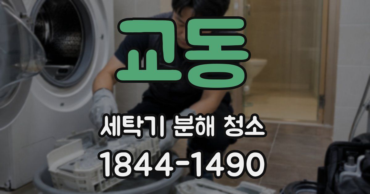교동 세탁기 분해 청소