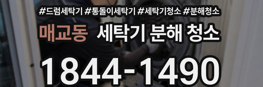 매교동 세탁기 분해 청소