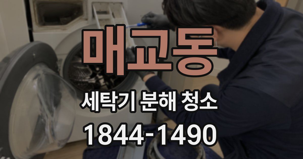 매교동 세탁기 분해 청소