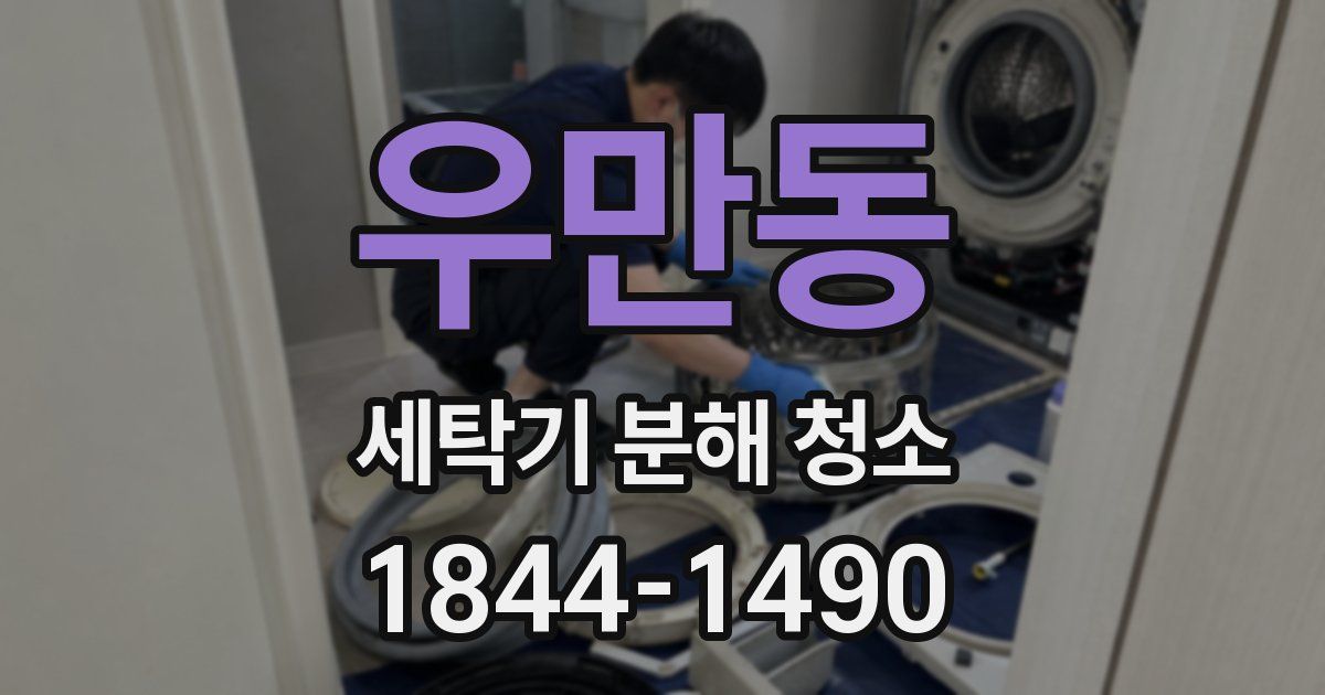 우만동 세탁기 분해 청소