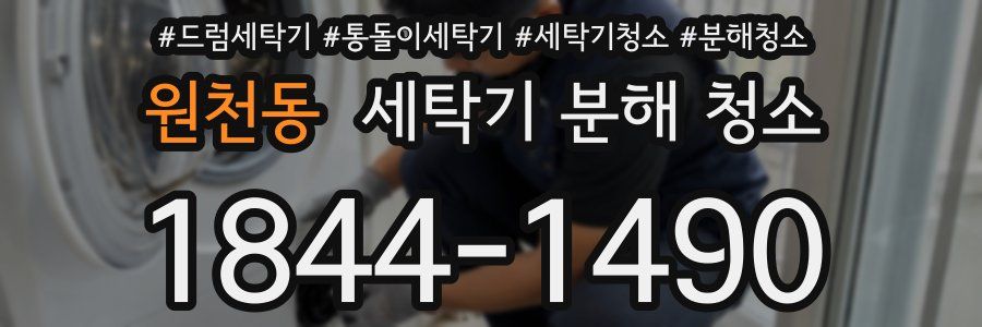 원천동 세탁기 분해 청소
