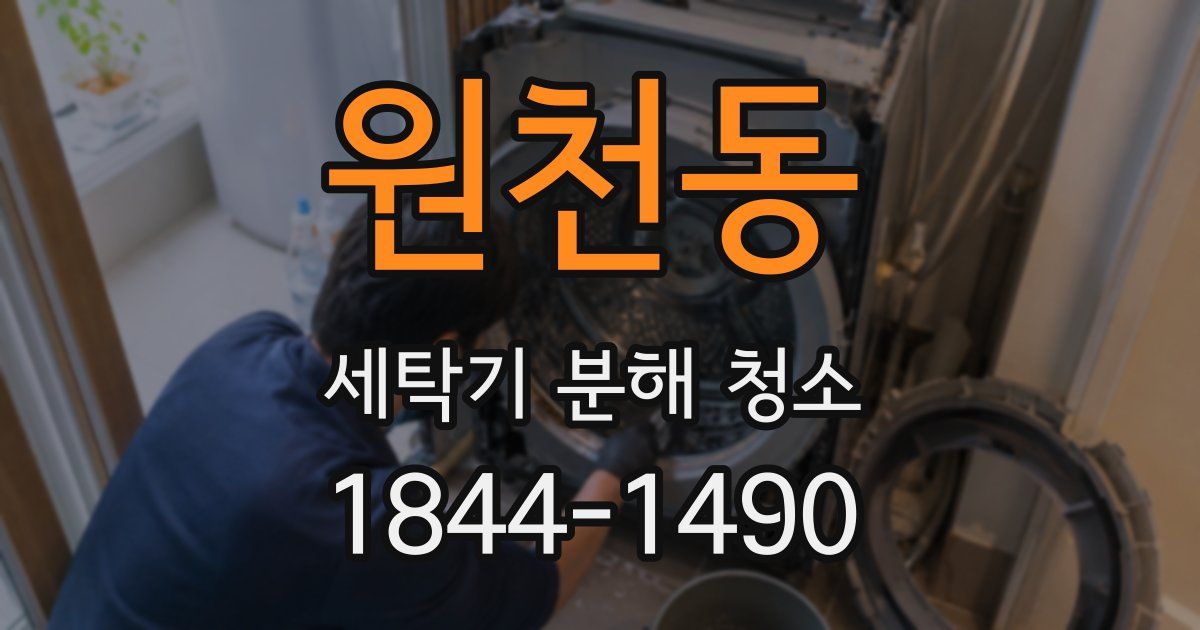 원천동 세탁기 분해 청소