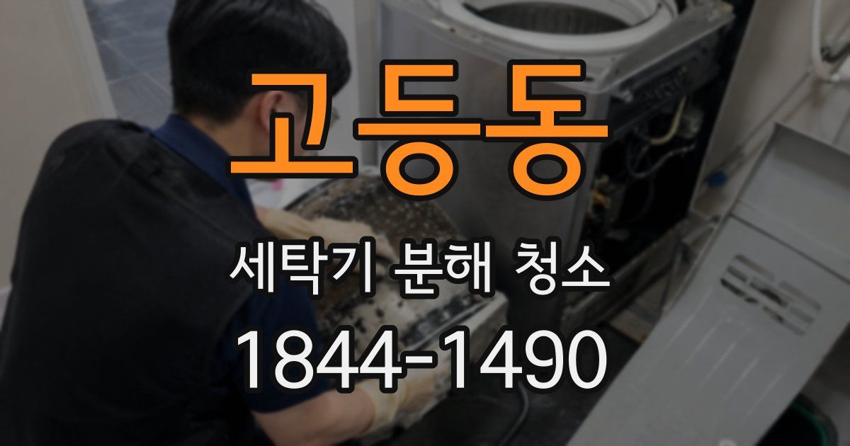 고등동 세탁기 분해 청소