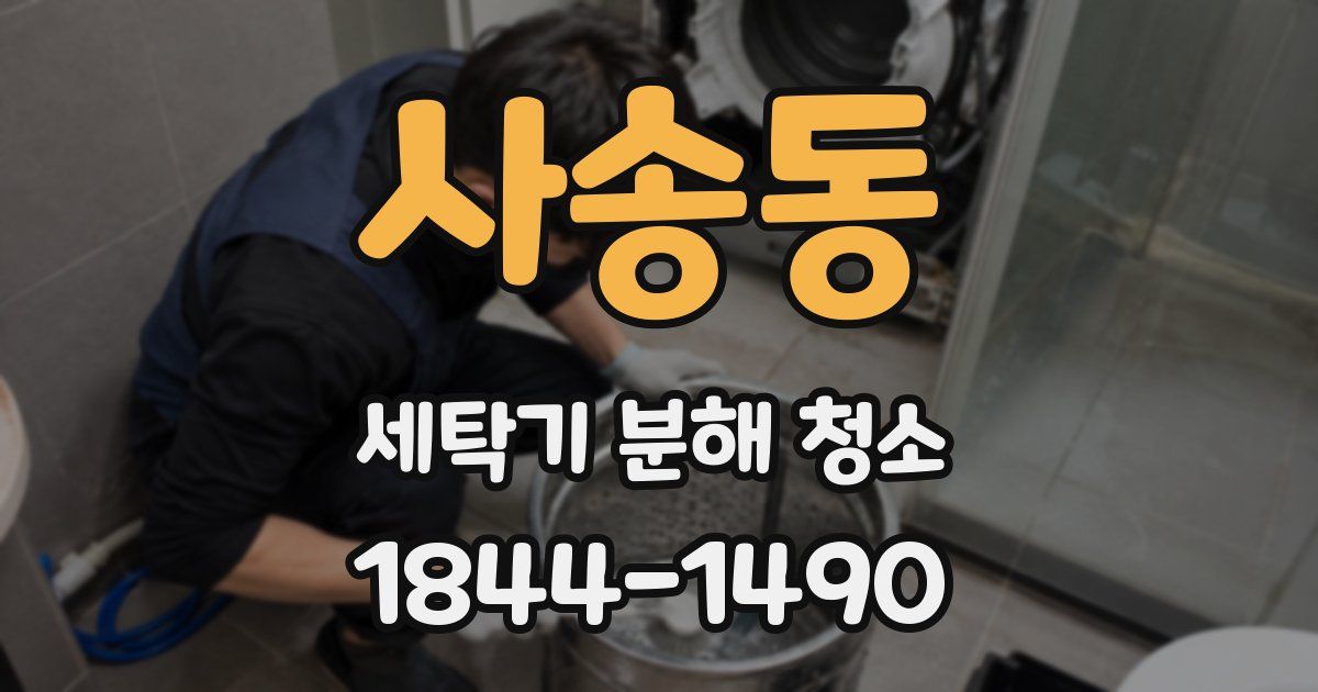 사송동 세탁기 분해 청소